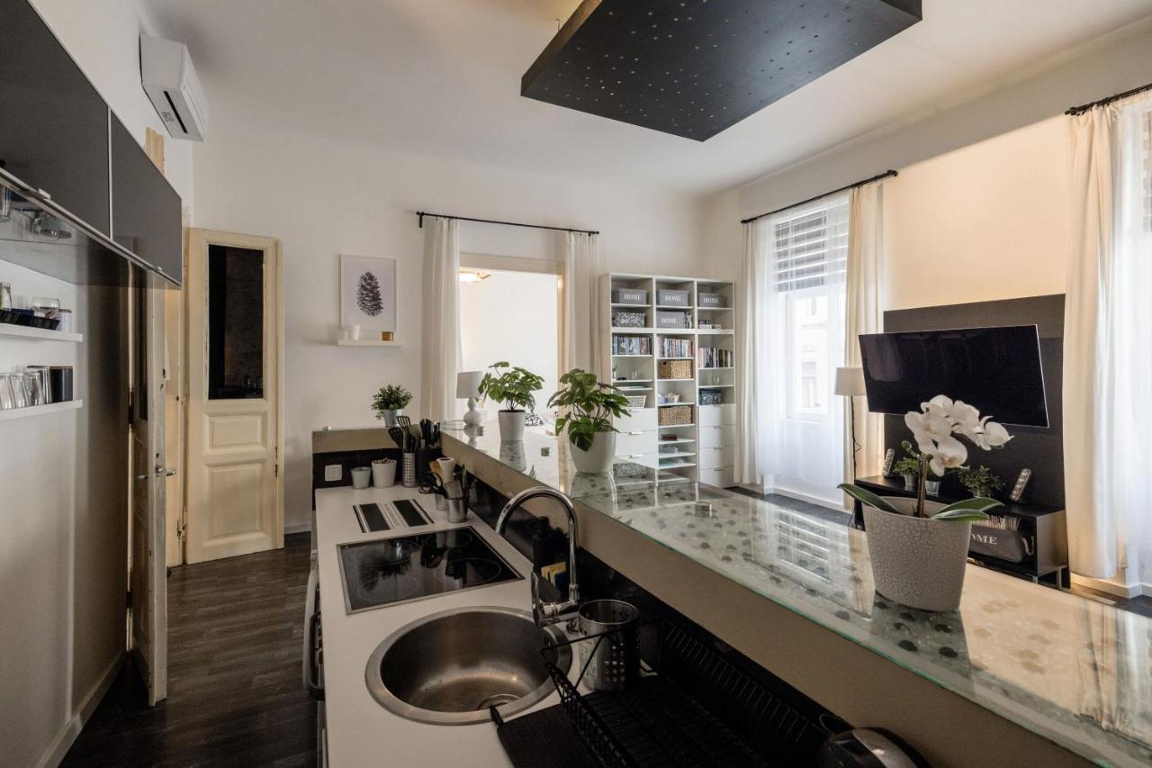 Spacious Apartment Almassy ブダペスト エクステリア 写真