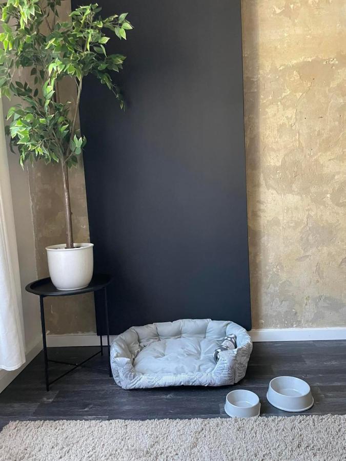 Spacious Apartment Almassy ブダペスト エクステリア 写真