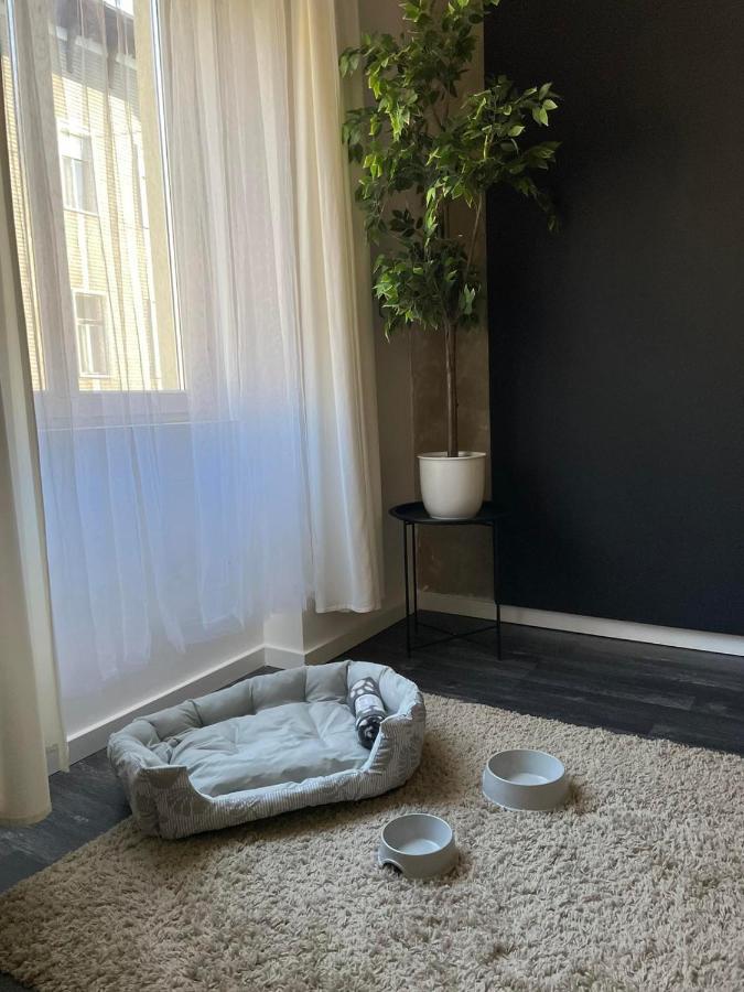 Spacious Apartment Almassy ブダペスト エクステリア 写真